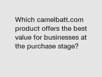 Which camelbatt.com product offers the best value for businesses at the purchase stage?