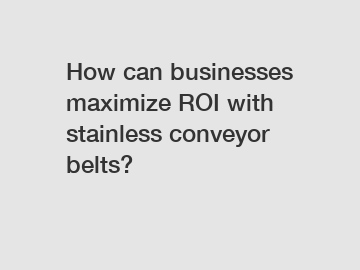 How can businesses maximize ROI with stainless conveyor belts?