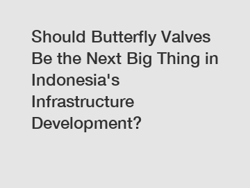 Should Butterfly Valves Be the Next Big Thing in Indonesia's Infrastructure Development?