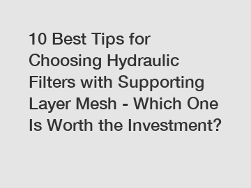 10 Best Tips for Choosing Hydraulic Filters with Supporting Layer Mesh - Which One Is Worth the Investment?