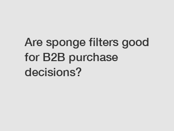 Are sponge filters good for B2B purchase decisions?