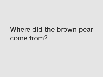 Where did the brown pear come from?