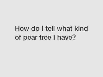 How do I tell what kind of pear tree I have?