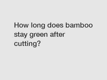 How long does bamboo stay green after cutting?