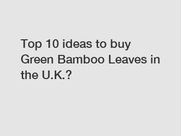 Top 10 ideas to buy Green Bamboo Leaves in the U.K.?