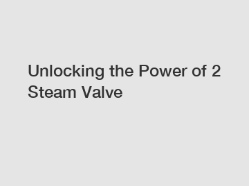 Unlocking the Power of 2 Steam Valve