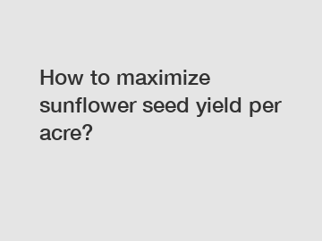 How to maximize sunflower seed yield per acre?