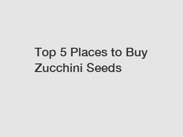 Top 5 Places to Buy Zucchini Seeds