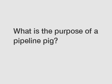 What is the purpose of a pipeline pig?