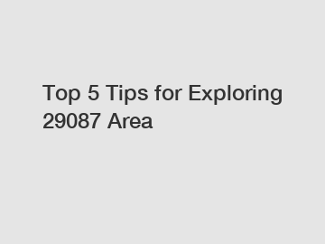 Top 5 Tips for Exploring 29087 Area