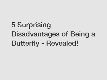 5 Surprising Disadvantages of Being a Butterfly - Revealed!