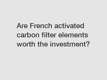 Are French activated carbon filter elements worth the investment?