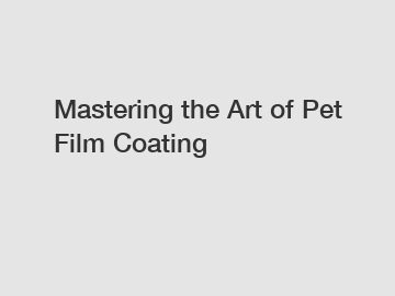 Mastering the Art of Pet Film Coating