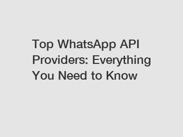 Top WhatsApp API Providers: Everything You Need to Know