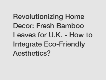 Revolutionizing Home Decor: Fresh Bamboo Leaves for U.K. - How to Integrate Eco-Friendly Aesthetics?