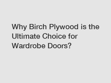 Why Birch Plywood is the Ultimate Choice for Wardrobe Doors?