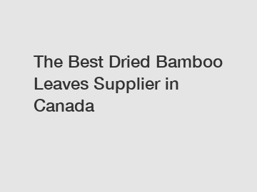 The Best Dried Bamboo Leaves Supplier in Canada