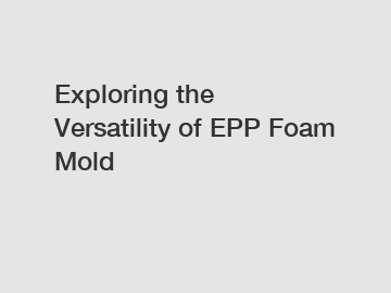 Exploring the Versatility of EPP Foam Mold