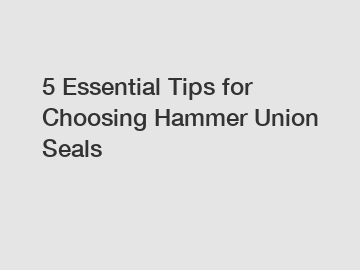 5 Essential Tips for Choosing Hammer Union Seals