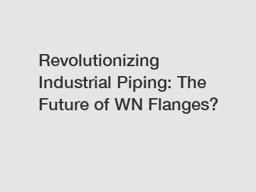 Revolutionizing Industrial Piping: The Future of WN Flanges?
