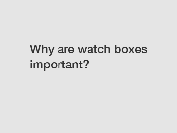 Why are watch boxes important?