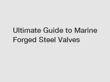 Ultimate Guide to Marine Forged Steel Valves