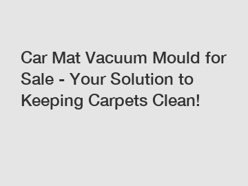 Car Mat Vacuum Mould for Sale - Your Solution to Keeping Carpets Clean!