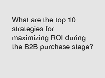 What are the top 10 strategies for maximizing ROI during the B2B purchase stage?