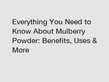 Everything You Need to Know About Mulberry Powder: Benefits, Uses & More