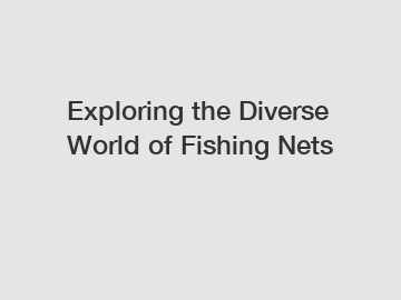 Exploring the Diverse World of Fishing Nets