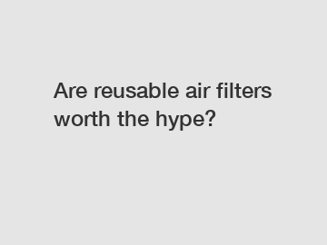 Are reusable air filters worth the hype?