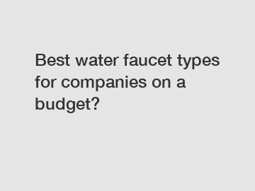 Best water faucet types for companies on a budget?