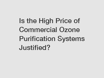 Is the High Price of Commercial Ozone Purification Systems Justified?