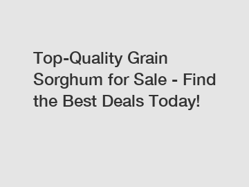 Top-Quality Grain Sorghum for Sale - Find the Best Deals Today!