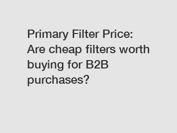 Primary Filter Price: Are cheap filters worth buying for B2B purchases?