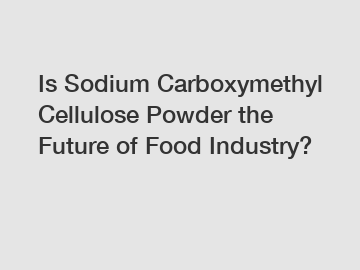 Is Sodium Carboxymethyl Cellulose Powder the Future of Food Industry?