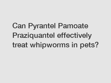 Can Pyrantel Pamoate Praziquantel effectively treat whipworms in pets?