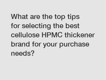 What are the top tips for selecting the best cellulose HPMC thickener brand for your purchase needs?