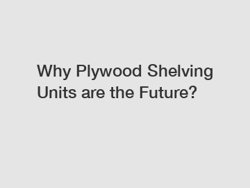 Why Plywood Shelving Units are the Future?