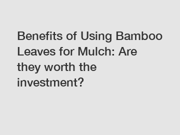 Benefits of Using Bamboo Leaves for Mulch: Are they worth the investment?