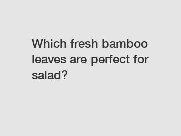 Which fresh bamboo leaves are perfect for salad?