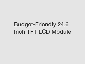 Budget-Friendly 24.6 Inch TFT LCD Module