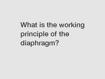 What is the working principle of the diaphragm?