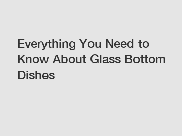 Everything You Need to Know About Glass Bottom Dishes
