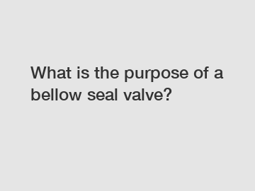 What is the purpose of a bellow seal valve?