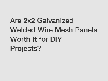 Are 2x2 Galvanized Welded Wire Mesh Panels Worth It for DIY Projects?