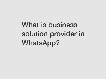 What is business solution provider in WhatsApp?