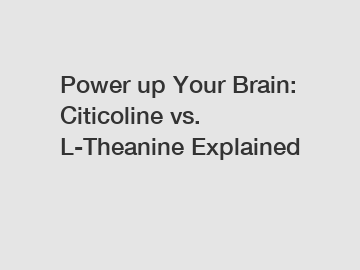 Power up Your Brain: Citicoline vs. L-Theanine Explained