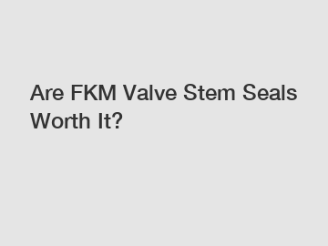 Are FKM Valve Stem Seals Worth It?