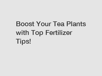 Boost Your Tea Plants with Top Fertilizer Tips!